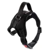 Black With Leash
