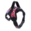 Flag With Leash
