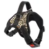 Leopard With Leash