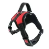 Red With Leash