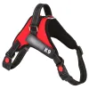 Red K9 With Leash