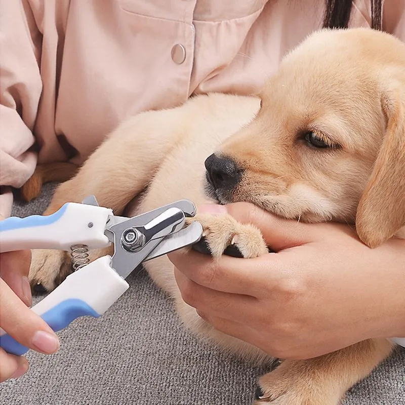 2pcs Pet Dog Cat Nail Clipper Scissors With Nail File Stainless Steel
