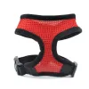 Black Edge-Red