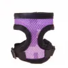 Black Edge-Purple
