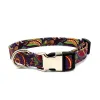 Paisley Pattern