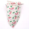 White-Flamingo