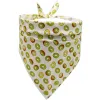 Kiwi Fruit