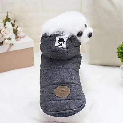 Pet Winter Warm Hooded Two Feet Dog Clothing