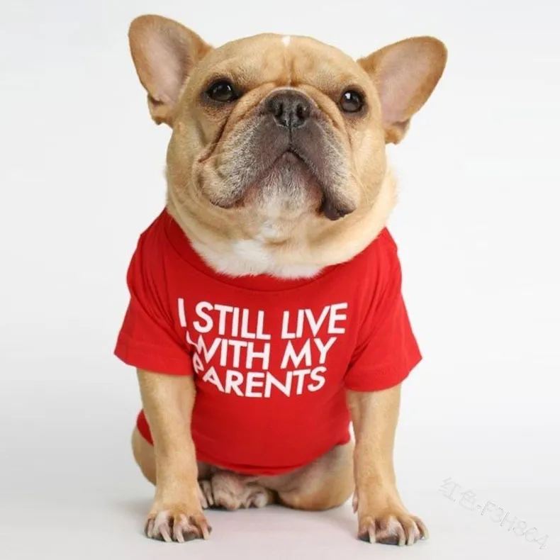 S-2XL Pet Clothes for Small Dogs Letter Printing T-shirt Japan and South Korea Style