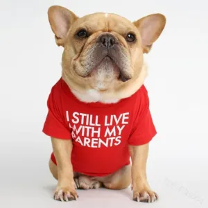 S-2XL Pet Clothes for Small Dogs Letter Printing T-shirt Japan and South Korea Style