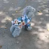 Teddy-White