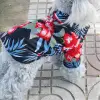 Teddy-Red