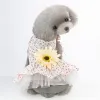Yellow Flower