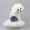 Blue Flower