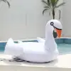 White Swan