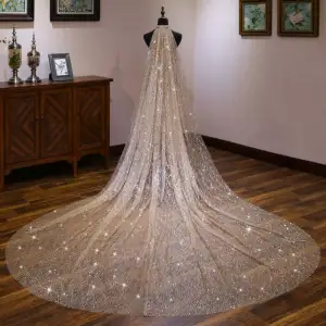 Shiny Glitter Design Sweep Length Train Bridal Mesh Veil