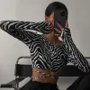 Zebra Print