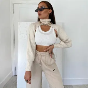 Women's Rabbit Hair Blend Knitted Crop Top with Turtle Neck and Lantern Sleeves