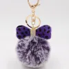 Two-tone Purple-Purple