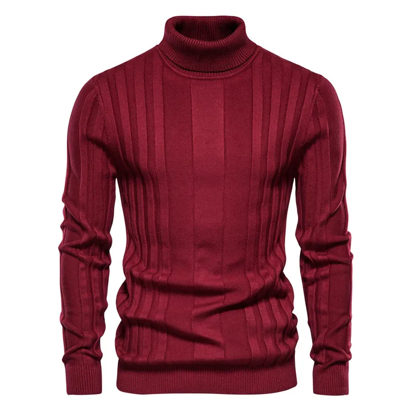 Men Casual Basic Long Sleeve Turtle Neck Slim Fit Sweater