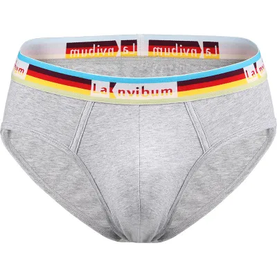 Men Cotton Casual Rainbow Stripe Letter Pattern Breathable Mid Waist Briefs Underwear