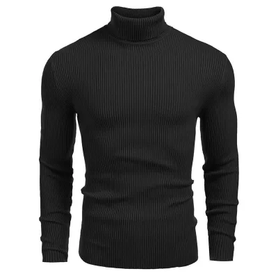 Men Basic Long Sleeve Turtle Neck Slim Fit Knit Pullover Sweater