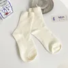 Cream White