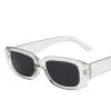 Transparent Gray Frame Gray