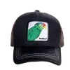 Parrot Black And Green