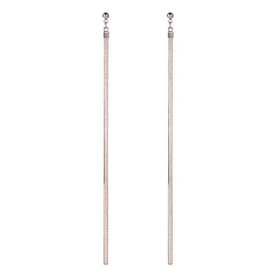 Long Alloy Tassel Earrings Women's Geometric Jewelry