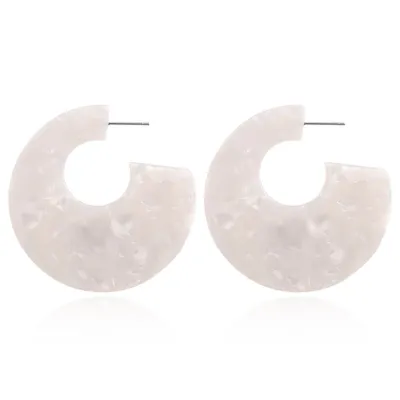 Geometric Leopard Pattern Hoop Earrings for Women, Alloy