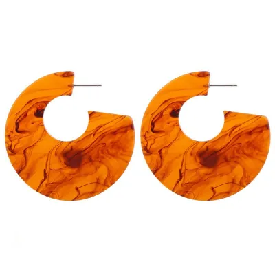 Geometric Leopard Pattern Hoop Earrings for Women, Alloy