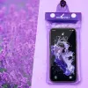 Transparent Purple B