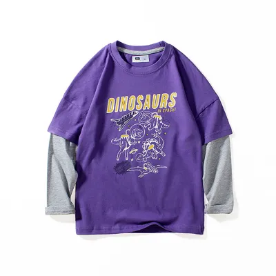 Boys Casual Dinosaur Letter Printed Color Blocking Long Sleeve Crew Neck T-shirt