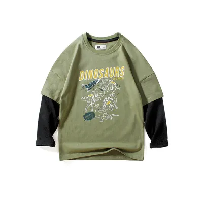 Boys Casual Dinosaur Letter Printed Color Blocking Long Sleeve Crew Neck T-shirt