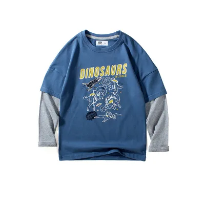 Boys Casual Dinosaur Letter Printed Color Blocking Long Sleeve Crew Neck T-shirt