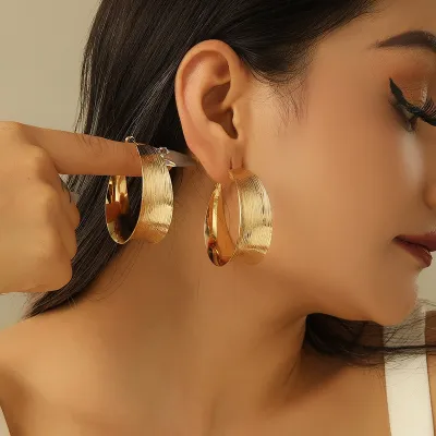 Exaggerated Design Simple Metal Hoop Earrings Geometric Cold Wind