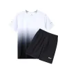 HM2313 White Black