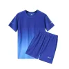 HM2313 Color Blue
