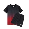 HM2313 Black Red