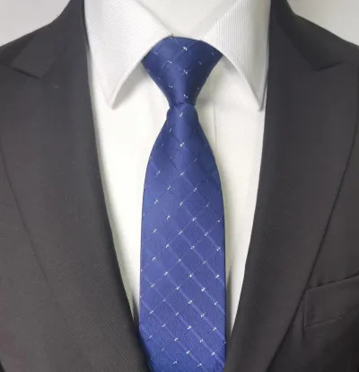 Men Fashion Business Tie
