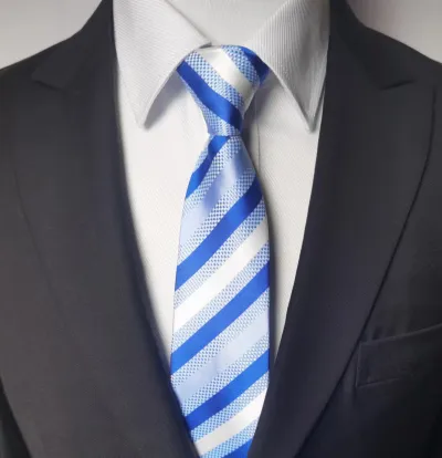 Men Fashion Business Tie