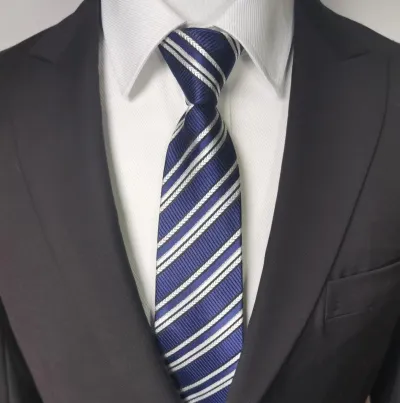 Men Fashion Business Tie