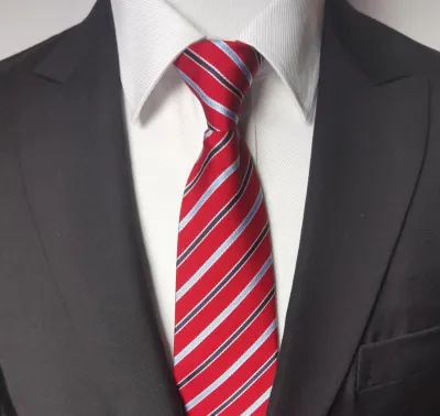 Men Fashion Business Tie