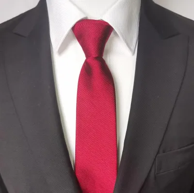 Men Fashion Business Tie