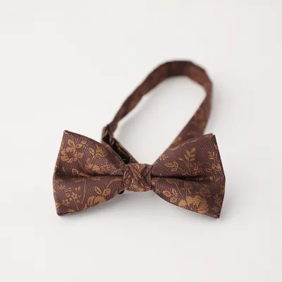 Men's Retro Fashion Printed Jacquard Bow Tie
