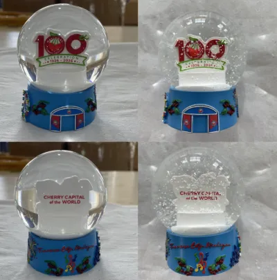 Custom Snowglobe