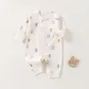 70228 Forest Bear