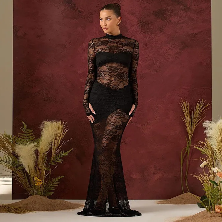 Women Sexy Lace Perspective Round Neck Long Sleeve Bodycon Maxi Dress
