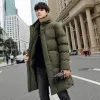 9788-Olive